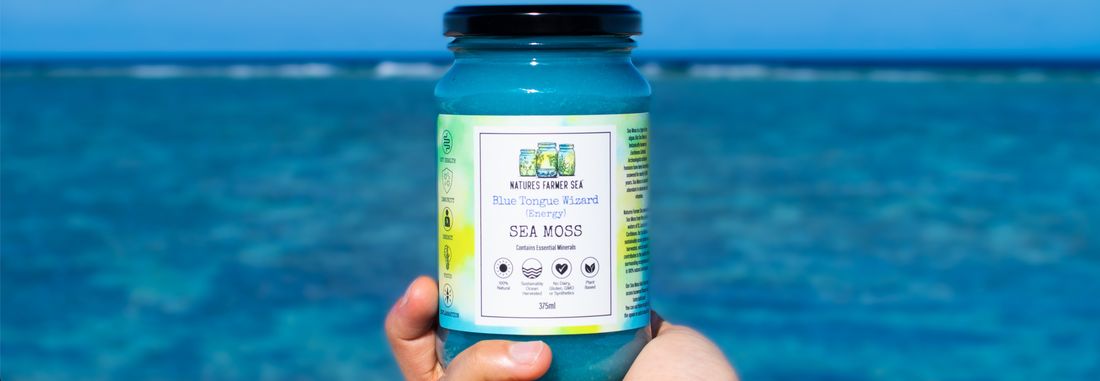 Leaky Gut Symptoms, How Sea Moss Can Help!